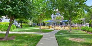 Broadleaf Apartments Gallery 23