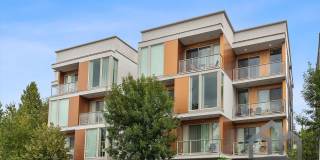 Hollywood 12 Gallery 43