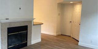 5025 TWILIGHT CANYON RD. Gallery 3