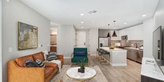 Tanager Echo Gallery 25