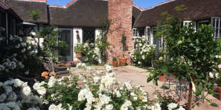 Luxurious 2BD | 2BA + Beachfront Property Luxurious 2BD | 2BA + Beachfront Property Gallery 1