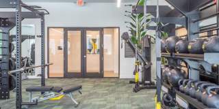 The Isabella Gallery 29