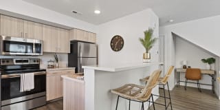 Amazon Falls Gallery 17