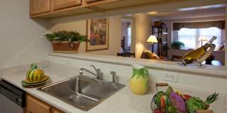 Southwood Square Gallery 8