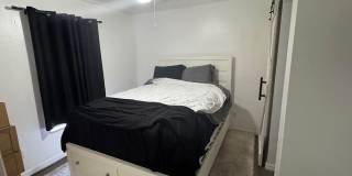 18168 Phlox Dr Gallery 11