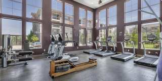 Altitude 970 Gallery 24