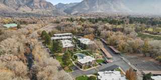 Country Woods Gallery 11