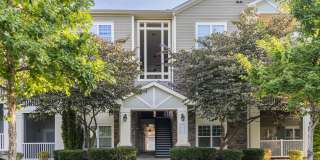 Oasis at Montclair Gallery 6