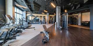 Alexan Harrison Apartments Gallery 61