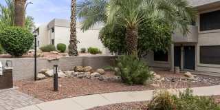 The Place At Wickertree Apartments Gallery 22