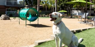 eaves Seal Beach Gallery 33