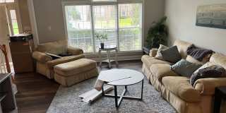 10378 Sutherby Drive Gallery 3