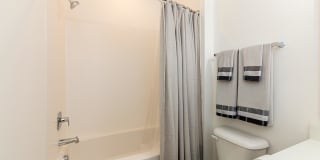 Arboretum Village Gallery 58