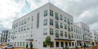 The Taylor Gallery 50