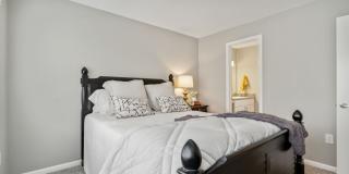 Buena Vista Gallery 36