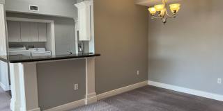 Georgeous College Town 2/2 split floorplan Gallery 6