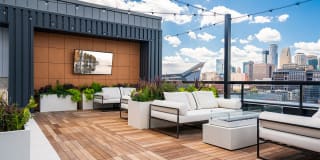 Forte on the Park Gallery 44