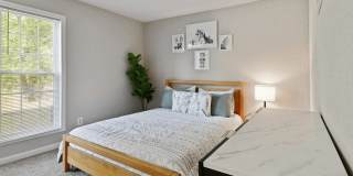 Premier Apartments Gallery 14