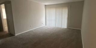 320 Orchard Trace Lane, Unit #5 Gallery 6