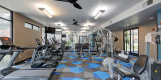 The Henderson Gallery 8