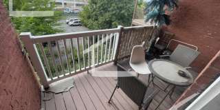 16 Pompeii Gallery 8