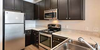 Blu Atlantic Gallery 33