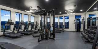 Prose at Parkvale Gallery 38