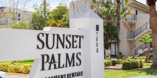 Sunset Palms Gallery 1