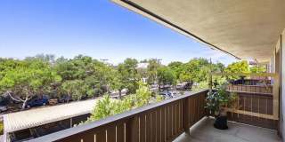 1327 Webster St #B305 - Studio | 1 bath | Condo Gallery 14