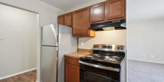 Rochester Square Gallery 25