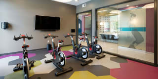 Era on Excelsior Gallery 15