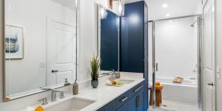 Aster Aster Gallery 28