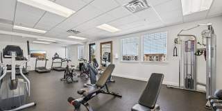 Triton Terrace Gallery 27