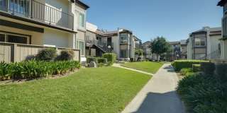 833 Cinnamon Gallery 34