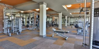 Olympus Steelyard Gallery 33