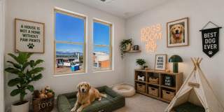 Apex at Perry Station - Modern Living at it's best! Gallery 22