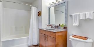 Lofts at Forest Park Gallery 2