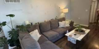 237 Asbury Road Gallery 4