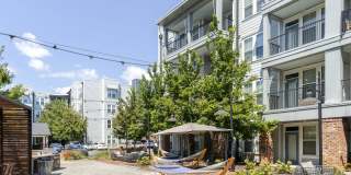 Bluebird Row Gallery 32