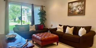 2894 Cedar Dunes Drive Gallery 6