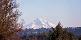 Millennium Park Gallery 20