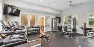 Trotters Park Gallery 10