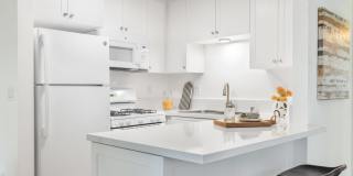 The Aspen South Coast Gallery 17