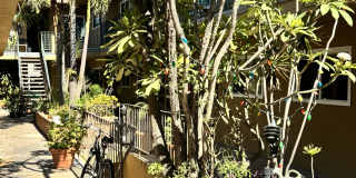 1300 Laurel Ave Gallery 14