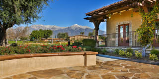 The Terrace Apartments Gallery 8