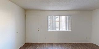 San Rivello Gallery 18