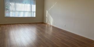 10038 Twin Lakes Dr Gallery 3