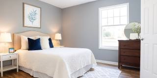 Creekside Canopy Gallery 2