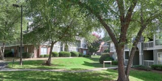 The Villages Gallery 14