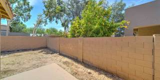 READY TO TOUR NOW! FRESHLY PAINTED INTERIOR! Great Home in Desirable Sheely Farms Neighborhood! READY TO TOUR NOW! FRESHLY PAINTED INTERIOR! Great Home in Desirable Sheely Farms Neighborhood! Gallery 24